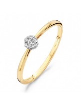 Blush Diamonds Ring - 1609BDI maat 54